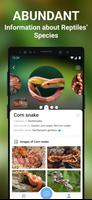 Snake Identifier Screenshot 2