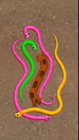 Snake Knot poster