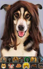 Craziest Stickers & Filters アプリダウンロード