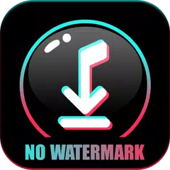 Snap Tik - TT Video Downloader