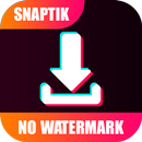 SnapTik - TT Video Downloader APK