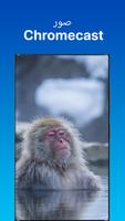 SkyFolio تصوير الشاشة 2
