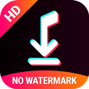 Snap Tik - TT Video Downloader APK