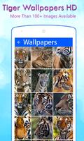 Tiger Wallpapers gönderen