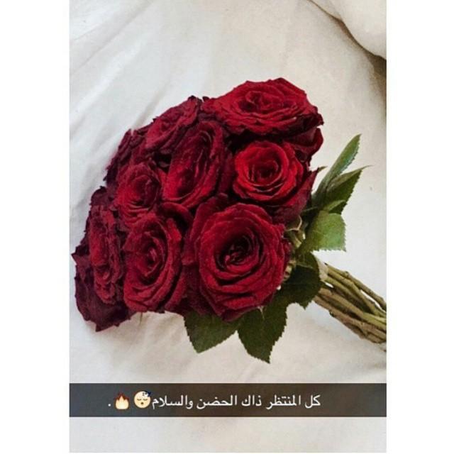 تويتر اقتباسات سنابيه