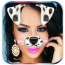 Snappy Camera Photo Filter APK