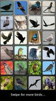 Vogels Soundboard App-poster