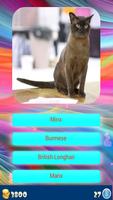 Cat Breeds - Identify Your Cat скриншот 1