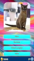 Cat Breeds - Identify Your Cat ภาพหน้าจอ 1
