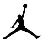 Air Jordan Sneaker icône