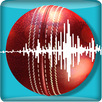 Snickometer : Cricket Predicti APK