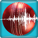 Snickometer : Cricket Predicti APK