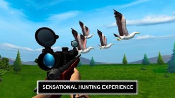 Jungle Sniper Birds Hunter Cartaz
