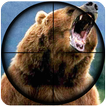 Bear Hunting : Sniper 3d