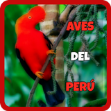 Birds of Peru APK