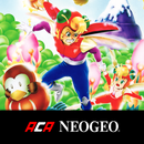 BLUE'S JOURNEY ACA NEOGEO APK