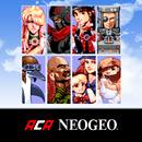 AERO FIGHTERS 2 ACA NEOGEO APK