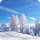 ❄️ Snow Wallpaper ❄️ APK