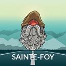 Sainte-Foy Transfers, Roads, Weather & Flights APK