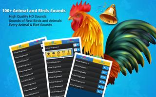 Birds and Animal Sounds poster