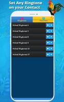 Birds and Animal Sounds screenshot 3