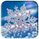 Snow Live Wallpaper icon