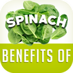 Spinach Benefits