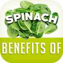 Spinach Benefits APK