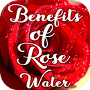 Rose Water Benefits APK