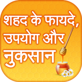 शहद के फायदे icon