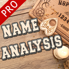 Name Analysis icon