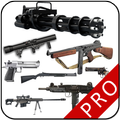 Real Gun Sounds - 2024
