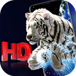 Live Wallpapers HD & UHD, 4k/3