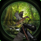 Extreme Sniper Birds Hunting-icoon