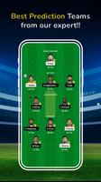 Expert Team Fantasy Prediction Affiche