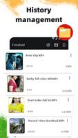 Video Downloader Ekran Görüntüsü 3