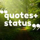 Daily Quotes Plus Status アイコン