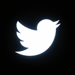 Twit Auto icon
