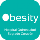 Obesity icône