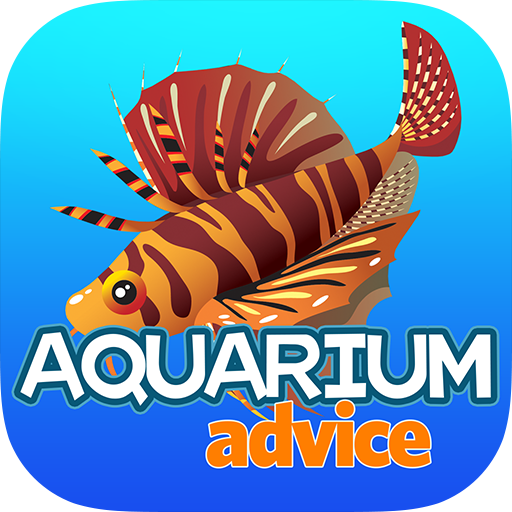 Aquarium Advice
