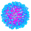 WAStickerApps - Flowers🌹 Stickers