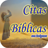 Icona Citas Biblicas