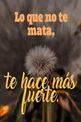 Descargar APK de Mensajes con Flores