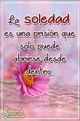 Descargar APK de Mensajes con Flores