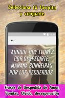Frases de despedida تصوير الشاشة 2