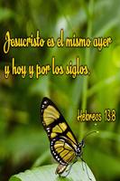 Frases de Jesus 스크린샷 1
