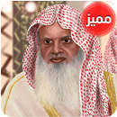 APK علي الحذيفي - القرآن الكريم كاملا