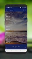 Relaxing Music screenshot 2