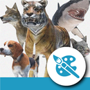 Animal Pose Collection APK