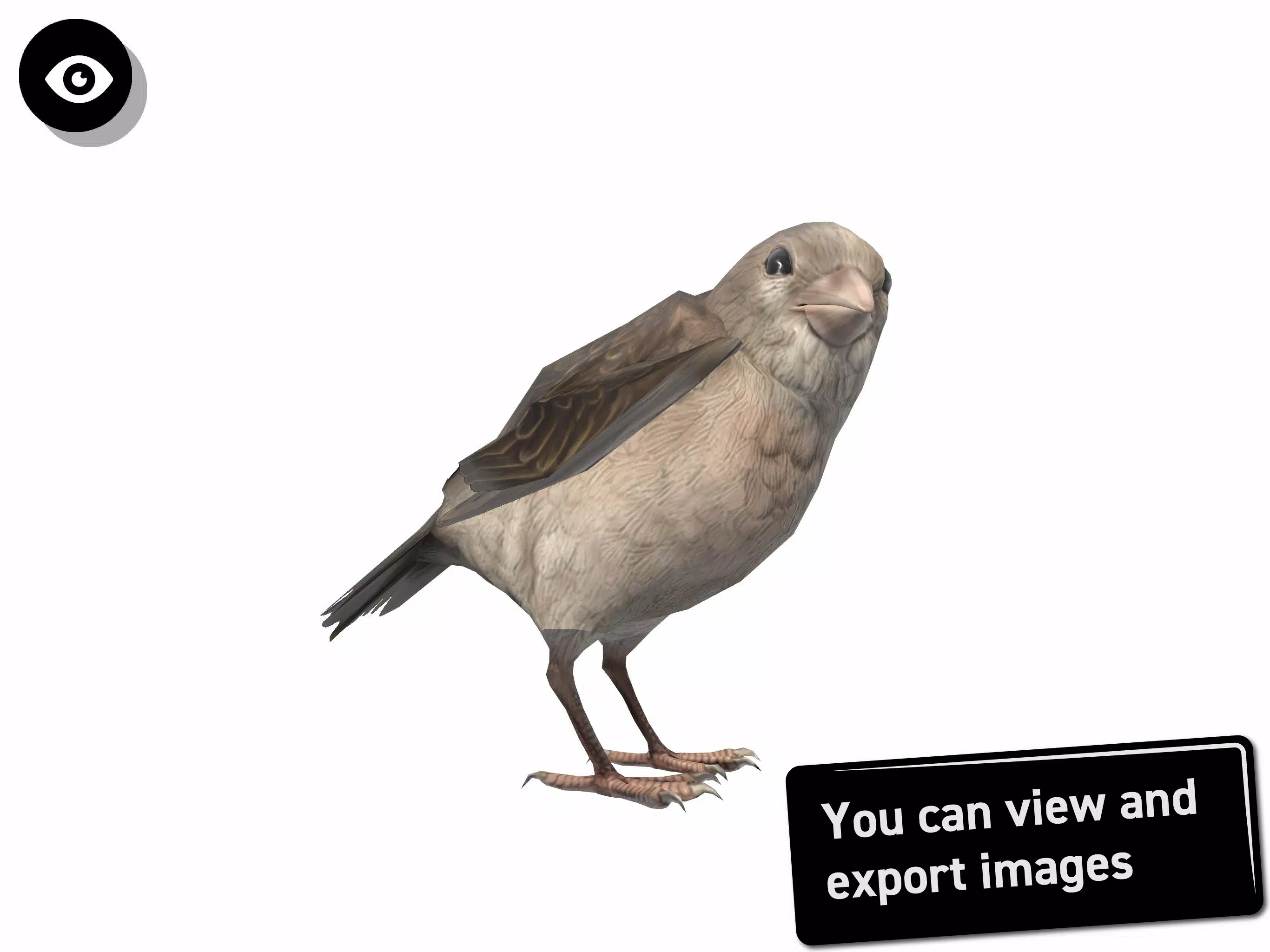 Bird 3D Reference APK for Android Download Bird 3D Reference APK for Android Download